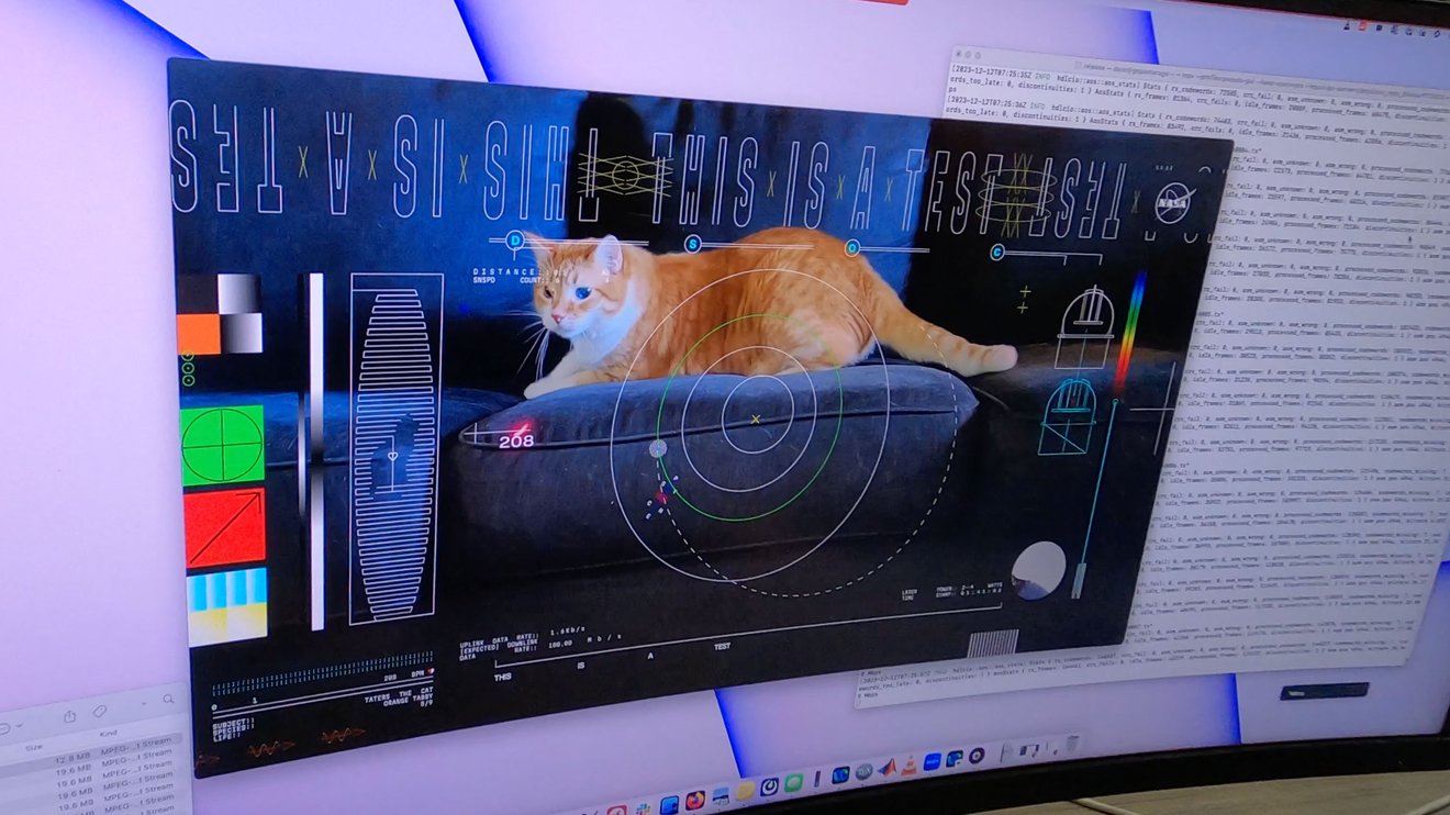 nasa beamed a cat video across 19 million miles of space Taters the space cat