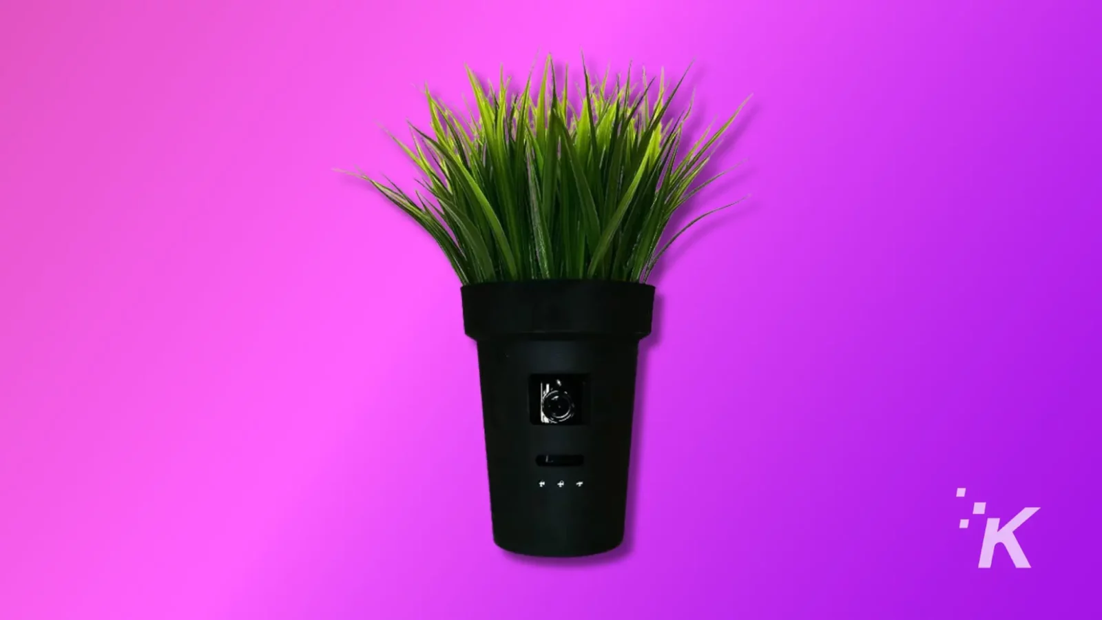 top 5 places to hide a wyze camera on your property A black smart speaker with a green artificial plant on top against a gradient purple and pink background, blending technology with home decor.