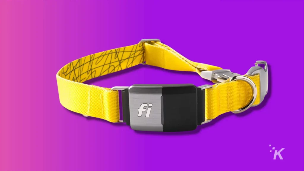 the best pet tech (2024) Fi smart gps collar