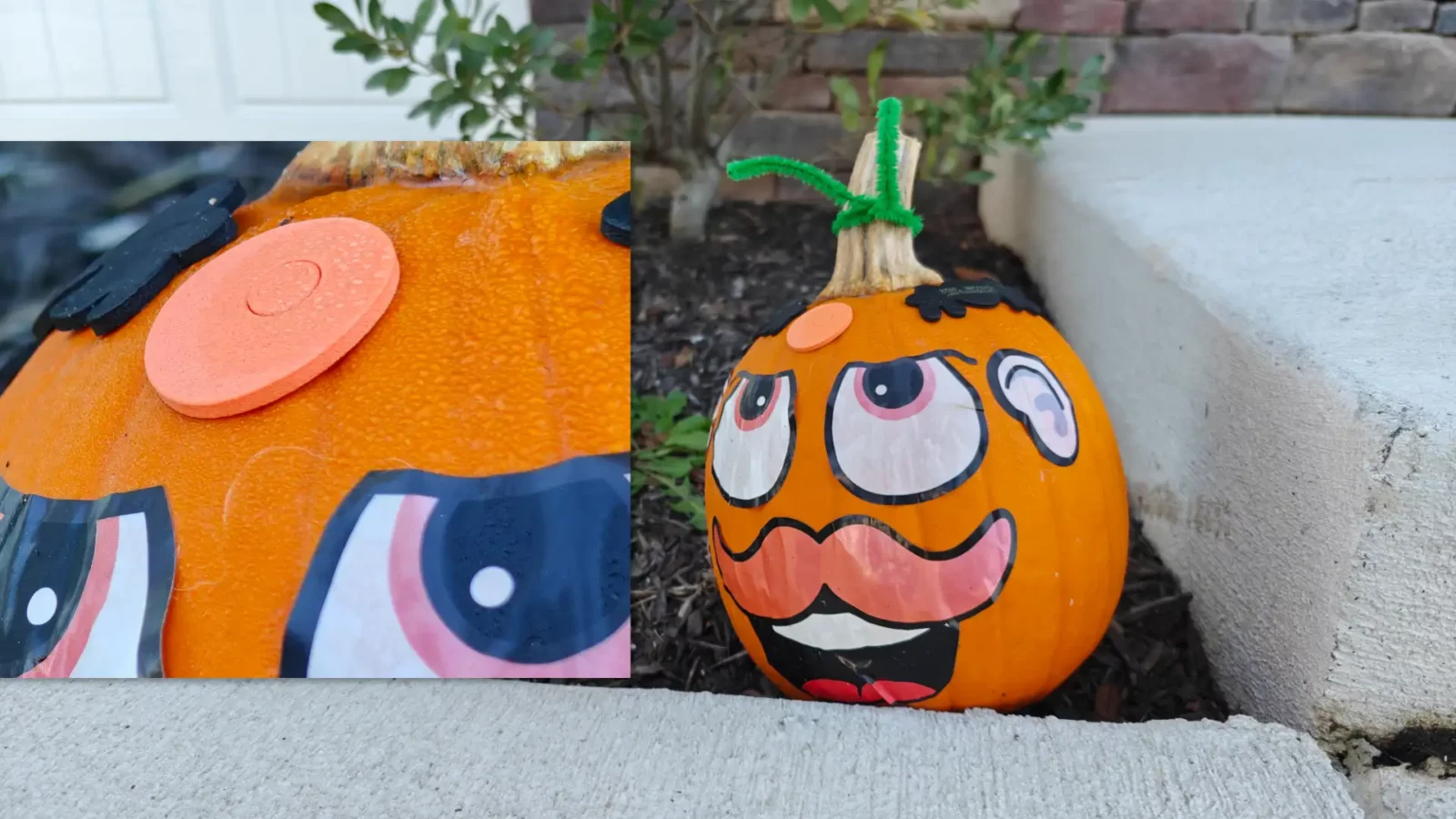 review: oneplus open Oneplus open sample images showing 1x and 6x zoom