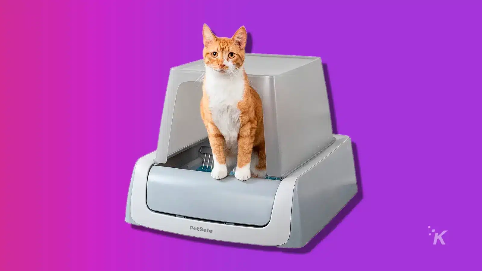 the best pet tech (2024) Image of a cat sitting in a pet safe automatic self cleaning litter box