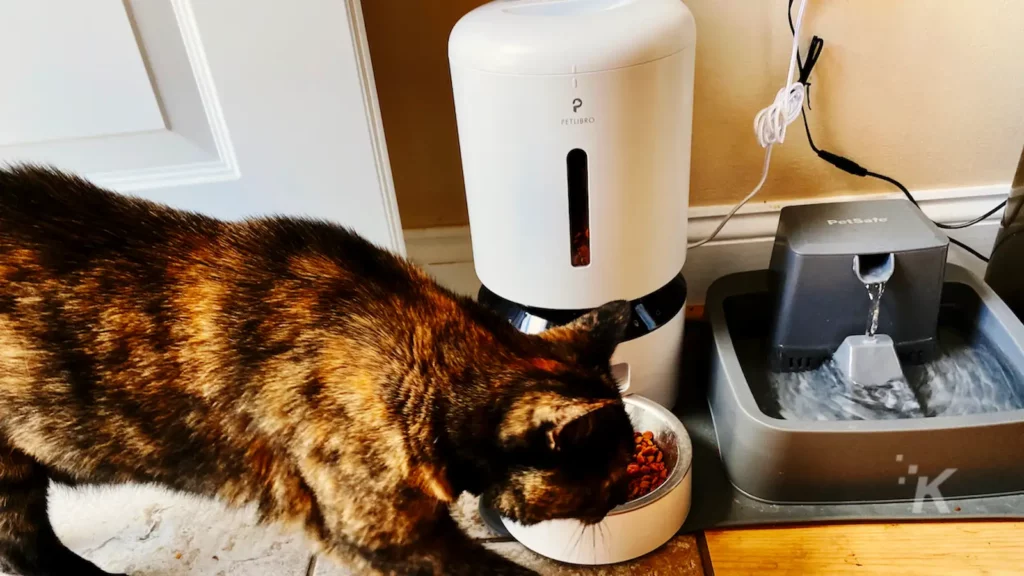 petlibro's granary pet feeder gives you control over your pet’s diet Petlibro cat feeder