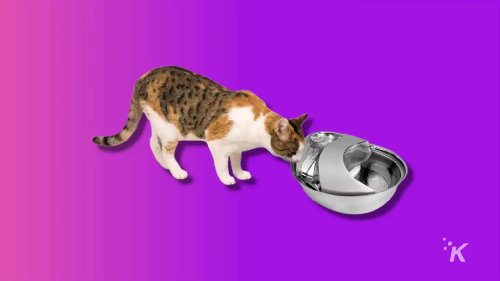 the best pet tech (2024) Cat drinking from pioneer pet raindrop pet fountain